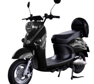 E-ECO 1000 WATTS Batterie Acide (Noir)